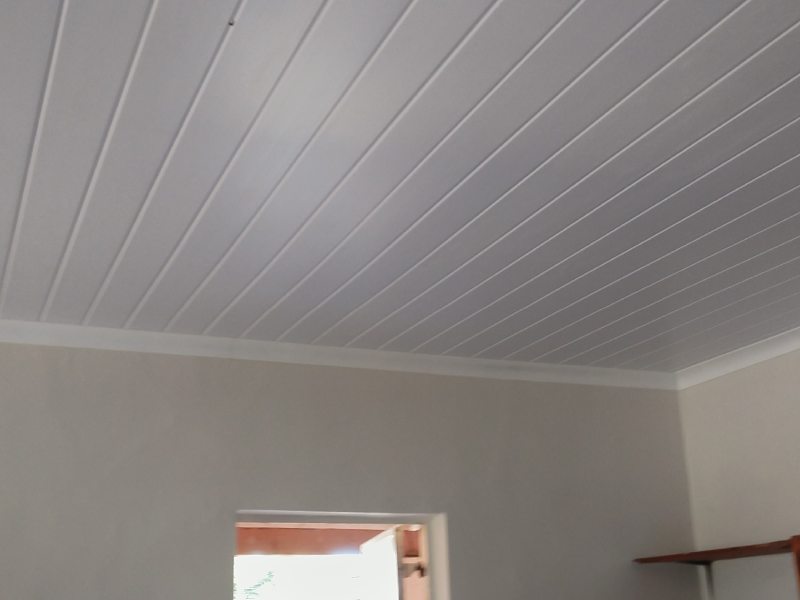 pvc ceiling